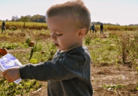 好聽的治愈系名字